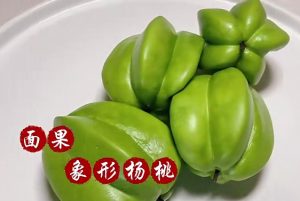 面果象形杨桃包的技术配方-盖亚老师-主厨学堂,小吃技术配方资源网